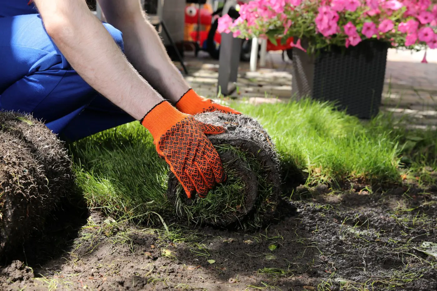D & D Landscaping