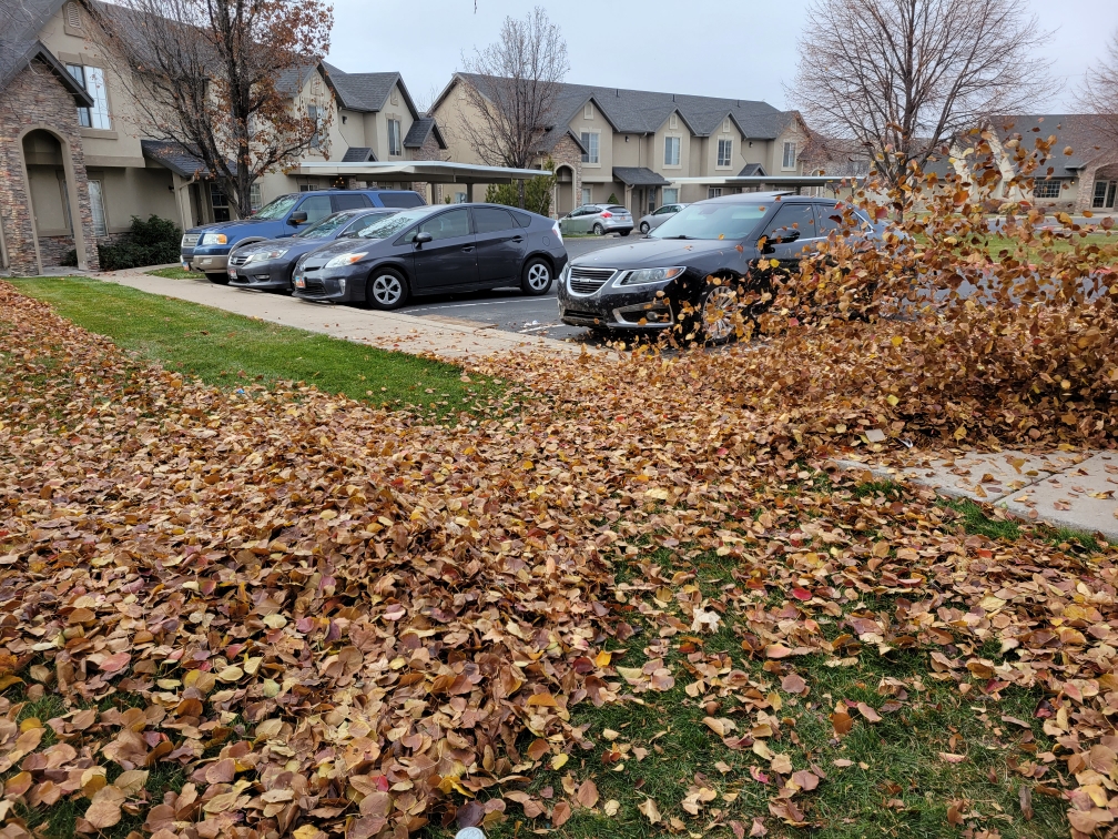 D & D Landscaping