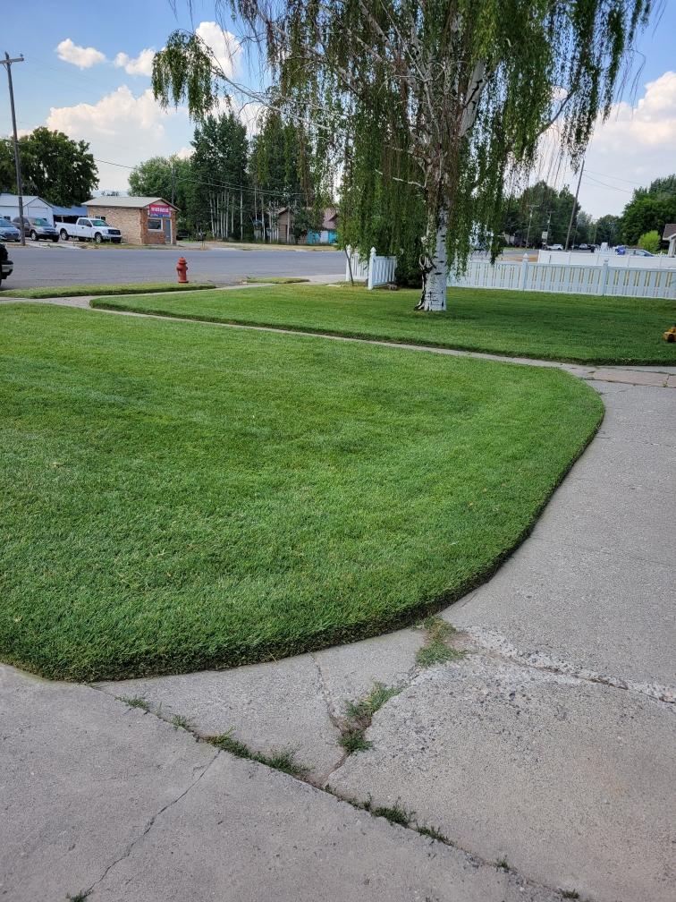 D & D Landscaping