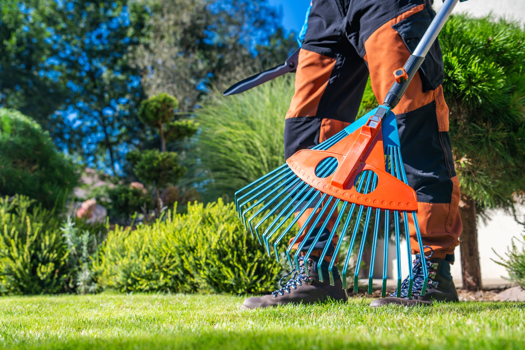 D & D Landscaping