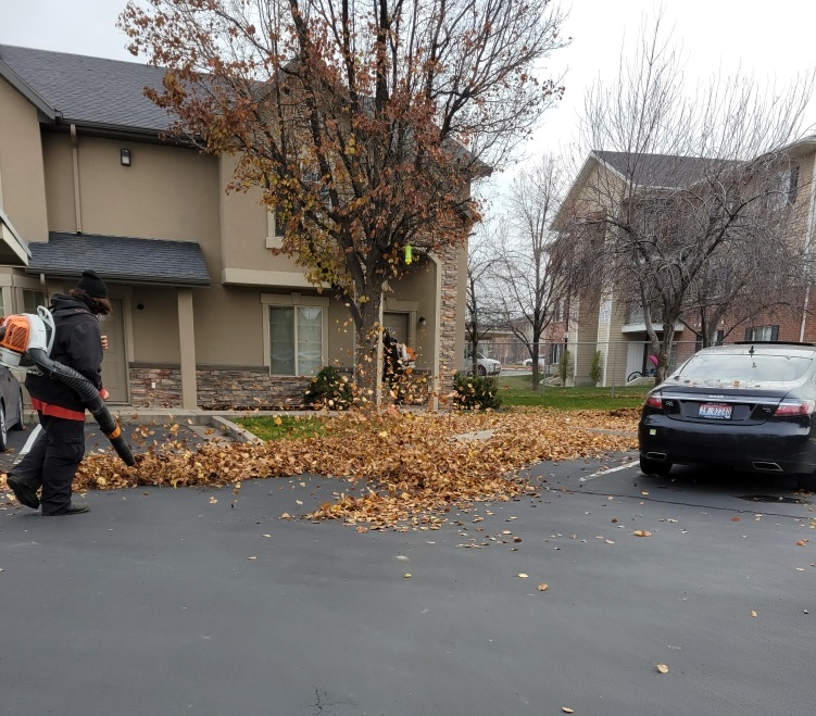 D & D Landscaping